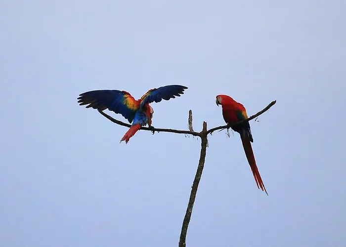 La Munequita Lodge 1 - Culture & Nature Experience